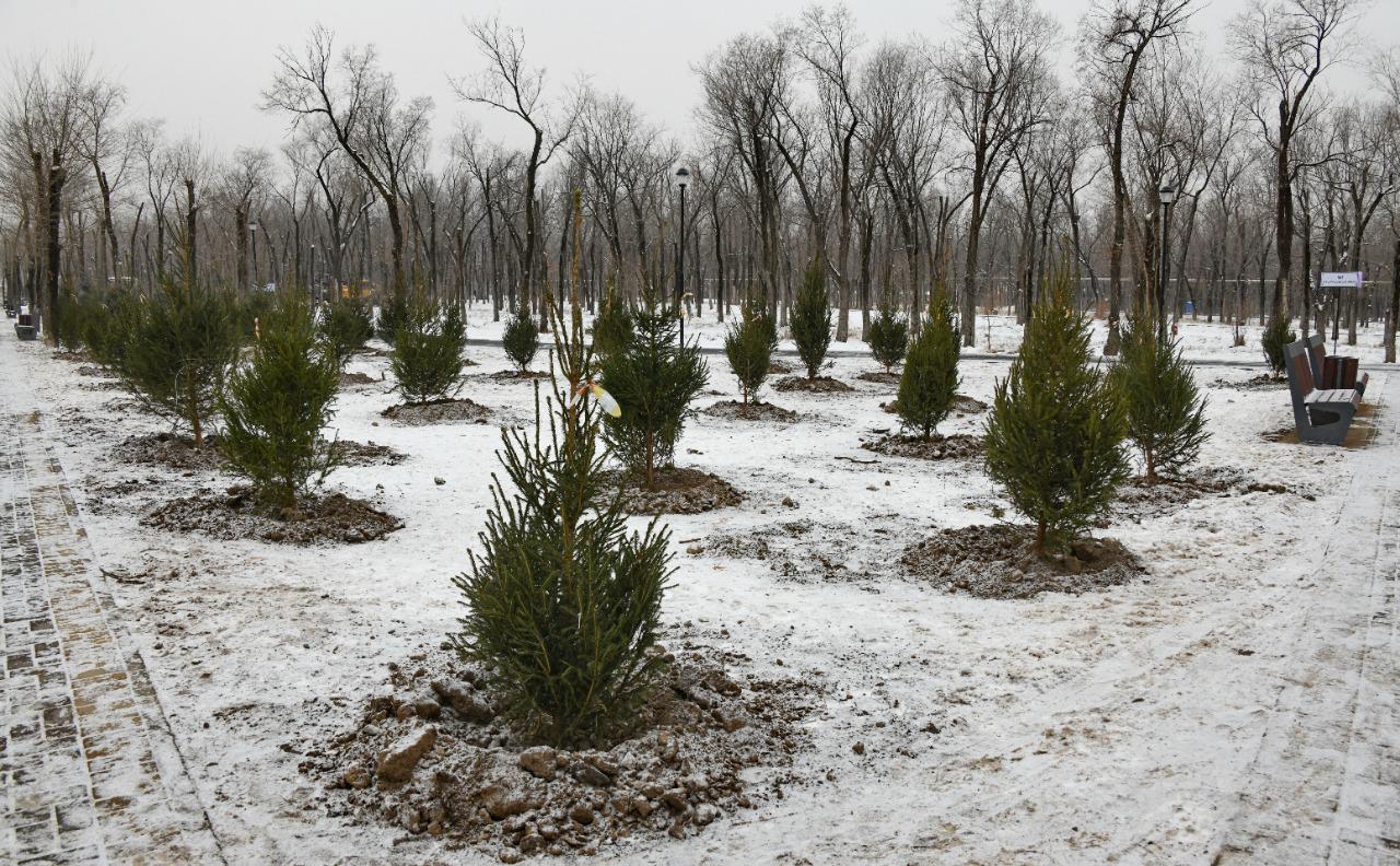الماتىداعى «جەلتوقسان» ساياباعى 100 كوشەتتى سايالاتتى
