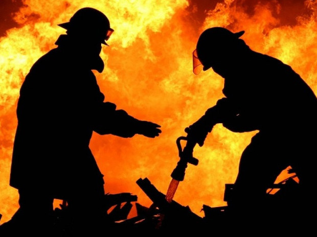 اقمولادا جىلۋ بەرۋ ماۋسىمى باستالعالى ءورت جيىلەدى