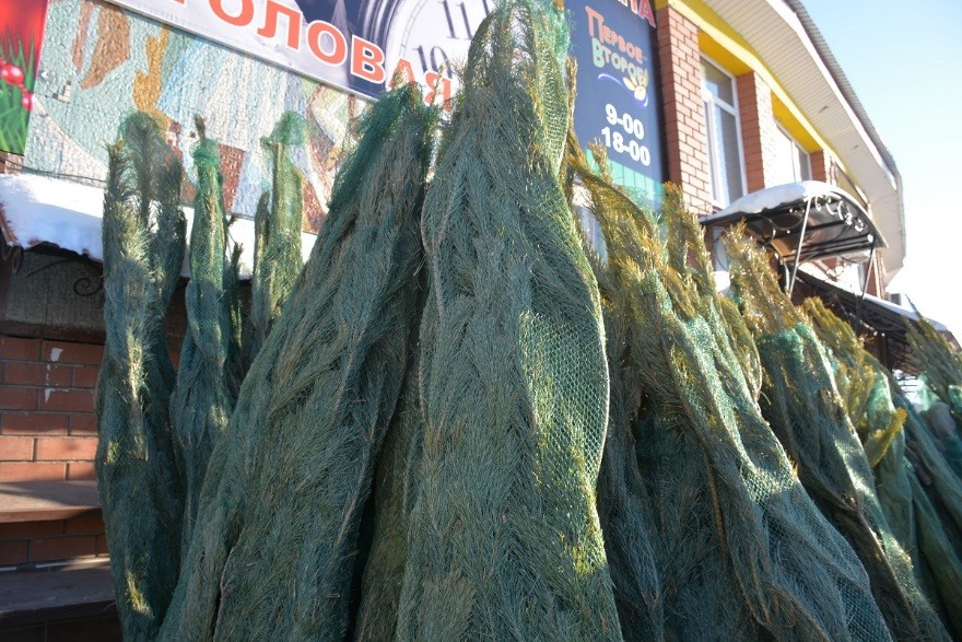 زاڭسىز اعاش كەسۋشىلەرگە جاۋاپكەرشىلىك تۋرالى ەسكەرتەدى