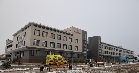 جاعداي جاسالسا, دارىگەر جۇمىسى جاقسارادى