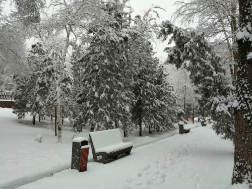 الماتى كوشەلەرىنەن 230 تەكشە مەتر قار شىعارىلدى