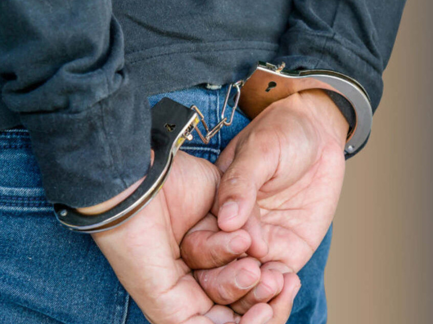 پاۆلودار وبلىسىندا 350 كەلى بالىق تاركىلەندى