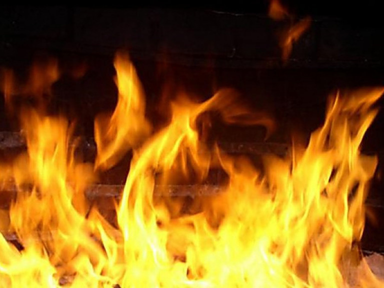 جاركەنتتە بالاباقشادا ءورت شىقتى