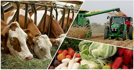 تۇركىستان وبلىسىندا 481,3 ملرد تەڭگەنىڭ ونەركاسىپ ءونىمى ءوندىرىلدى