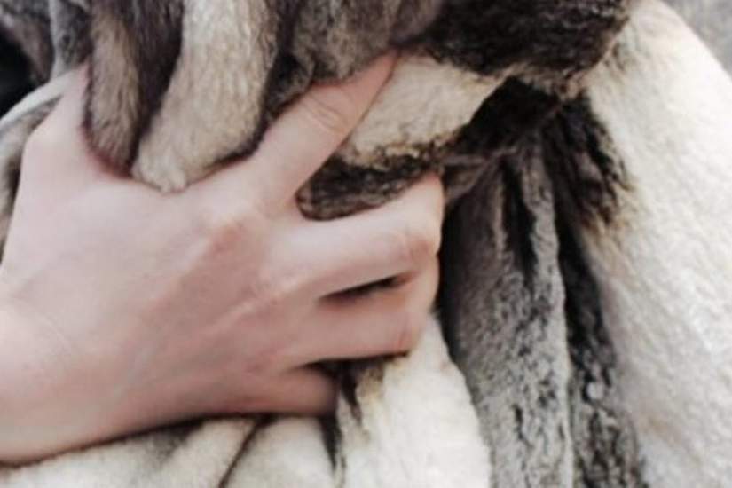 قىزىلوردادا  ۇيگە ۇرلىققا تۇسكەندەر ۇستالدى