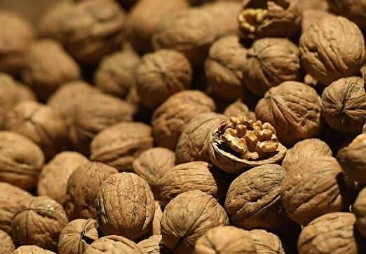 تۇلكىباس اۋدانىندا 900 تونناعا جۋىق جاڭعاق جينالدى