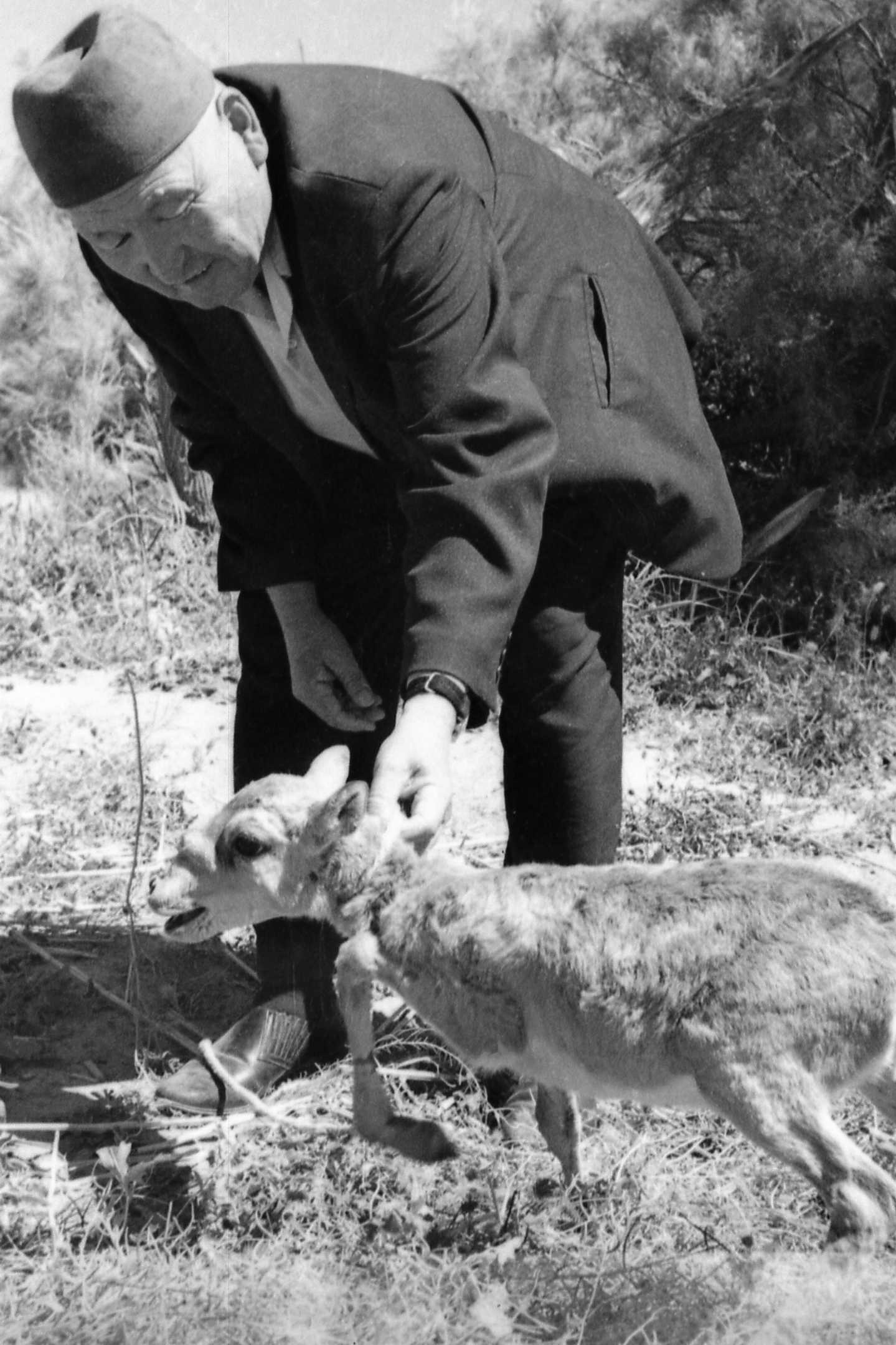 «قىرعي ءتىلدى اسقار» مەن قۇرالاي