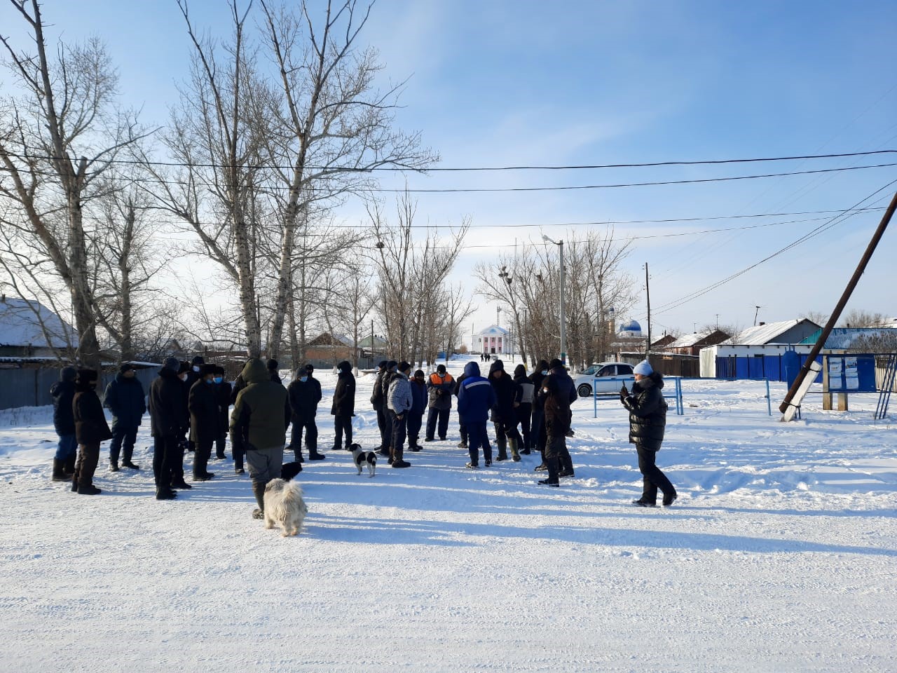 ايىرتاۋلىقتار دا شوشقا فەرماسىن سالۋعا قارسى