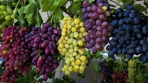 كوروناۆيرۋستىڭ الدىن الۋعا قانداي ونىمدەر كومەكتەسەدى