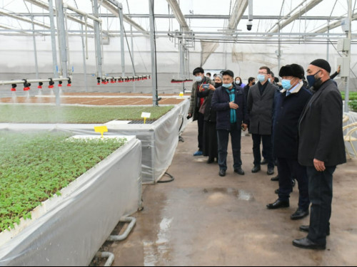 تۇركىستان وبلىسىندا 5 اۋداننىڭ ينفراقۇرىلىمىن دامىتۋ ءىسى قولعا الىندى