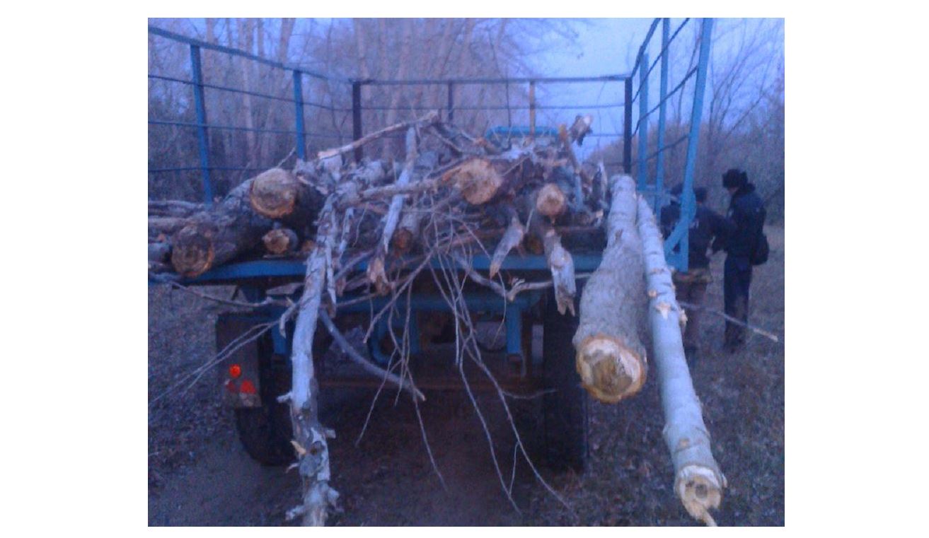 وتىندىق اعاشتى ورىنسىز كەسپە