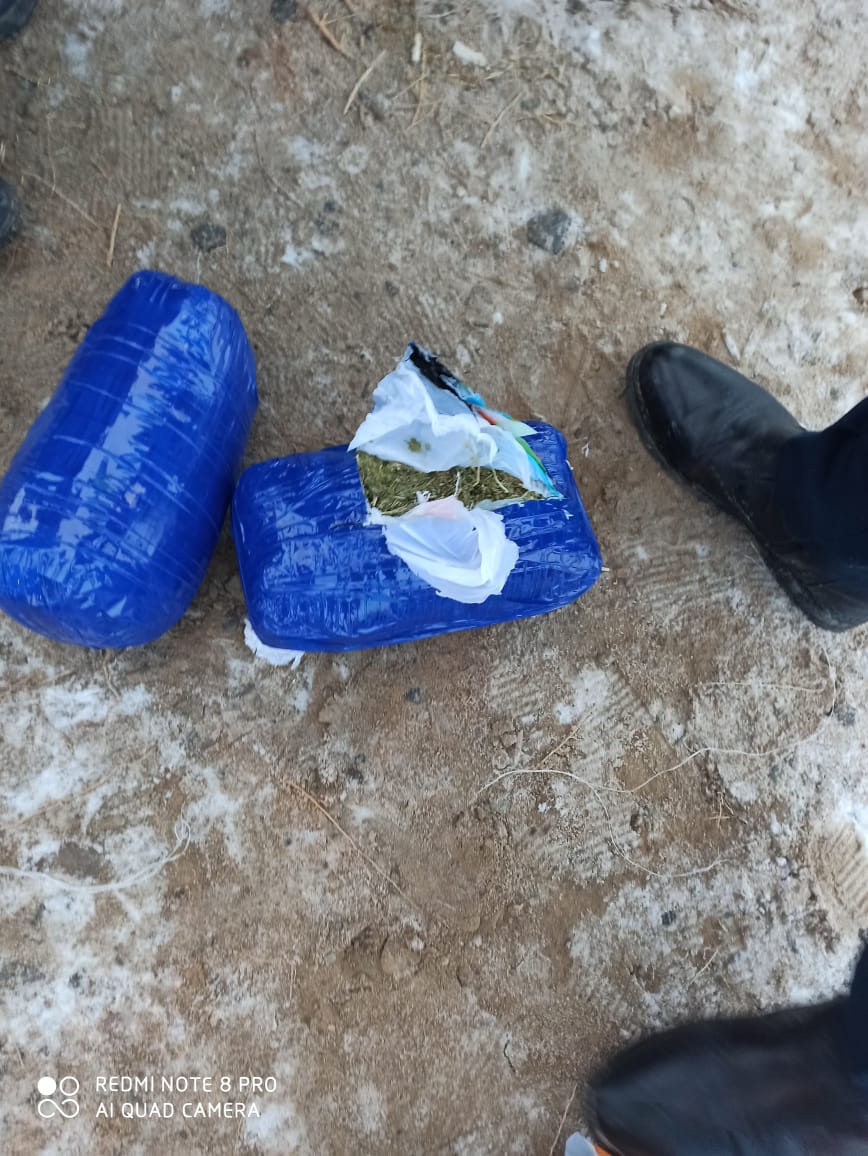 قىزىلوردادا  اسا ءىرى مولشەردە ەسىرتكى تاسىمالداعان كۇدىكتى ۇستالدى