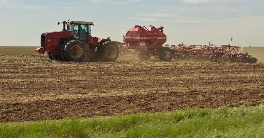 تابىس كىلتى