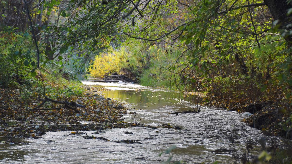 تىلسىم تابيعات تامساندىرا تۇسەدى