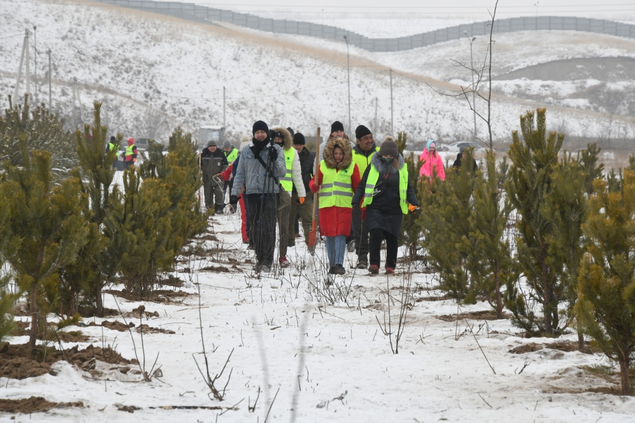 الماتىدا 2020 جىلى رەكوردتىق كولەمدە كوشەت وتىرعىزىلدى