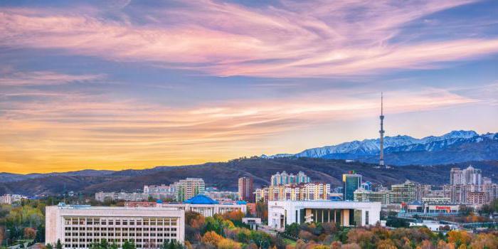 جرۆي جانە تۇماۋ بەلگىلەرى بار الماتىلىقتار قالاي داۋىس بەرەدى؟