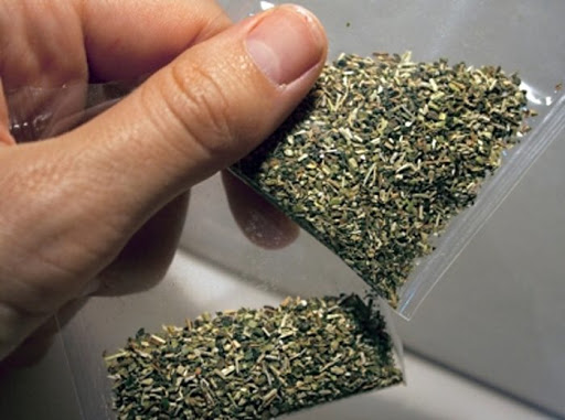 2020 جىلى ماڭعىستاۋدا 250 كەلىدەن استام ەسىرتكى تاركىلەندى