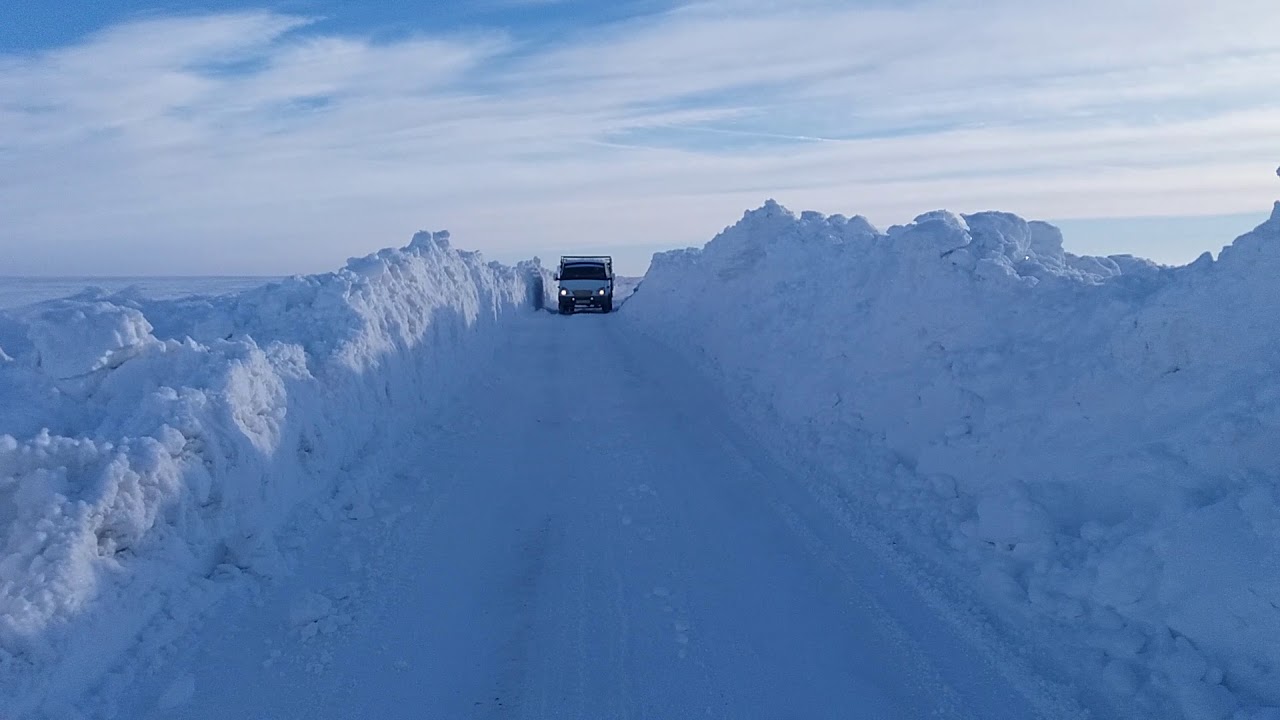 تۇركىستان وبلىسىندا 5 ادام قار قۇرساۋىنان قۇتقارىلعان