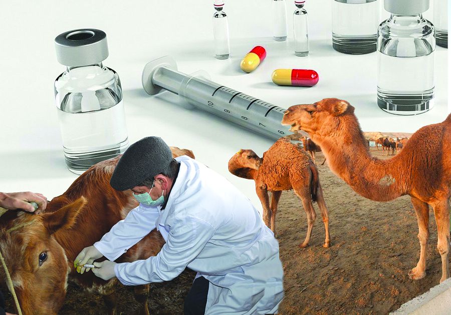 مال دارىگەرىنىڭ قادىرىنە قاشان جەتەمىز؟