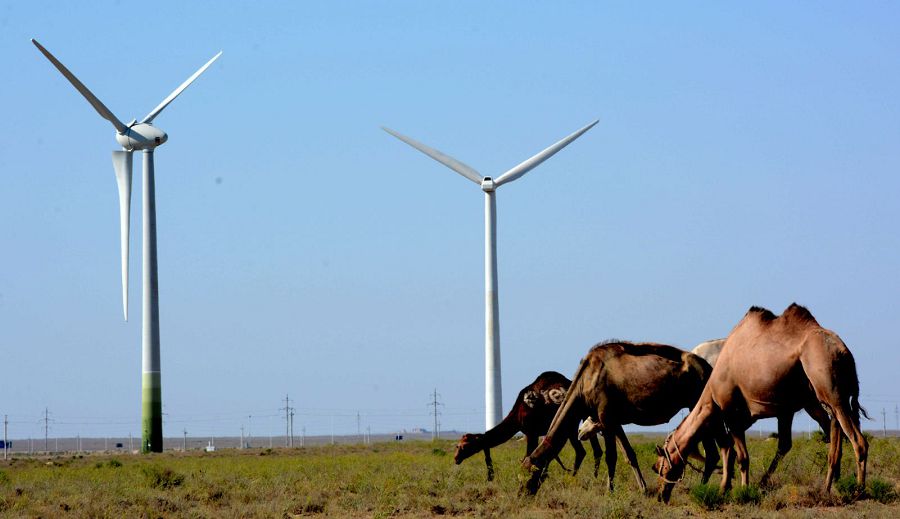 جەلدەن قۋات جينايدى