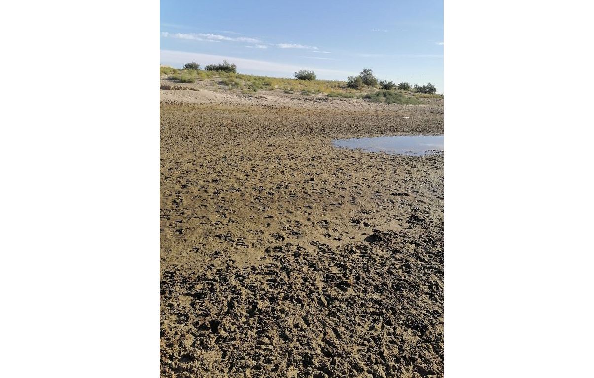 ويىل وزەنىنىڭ ورنىن سيپاپ قالمايىق