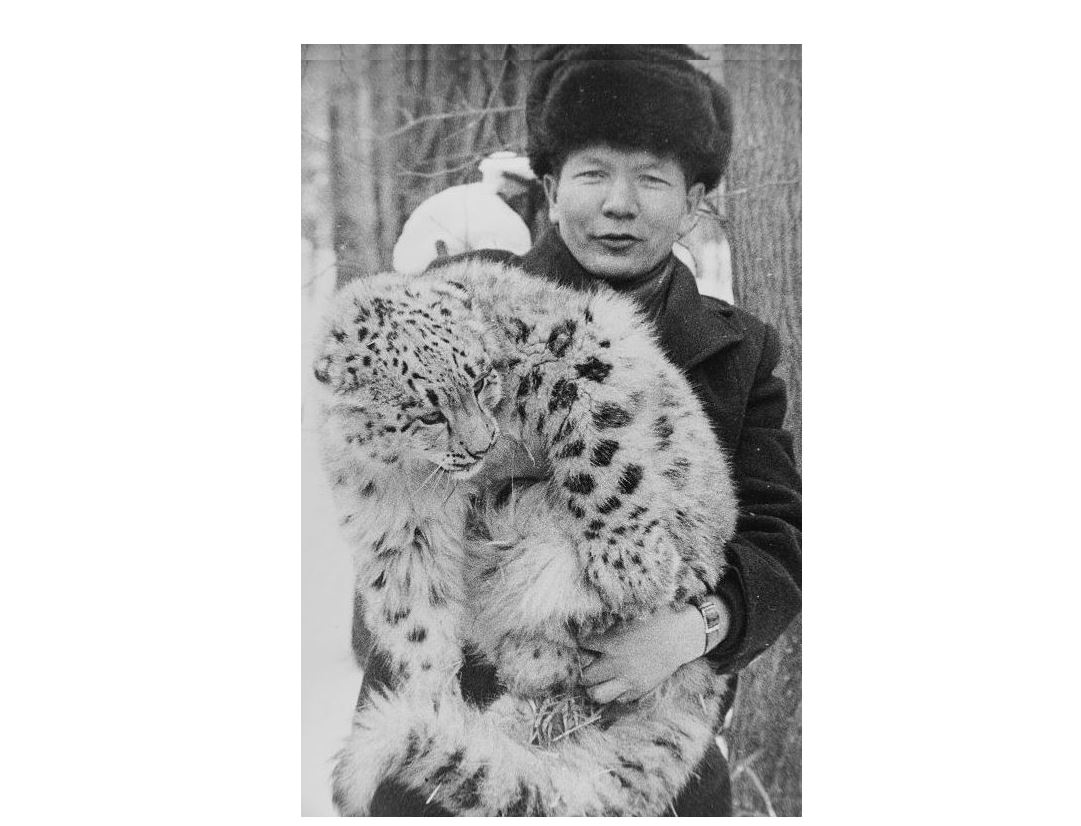 جانۋارلاردىڭ جاناشىرى