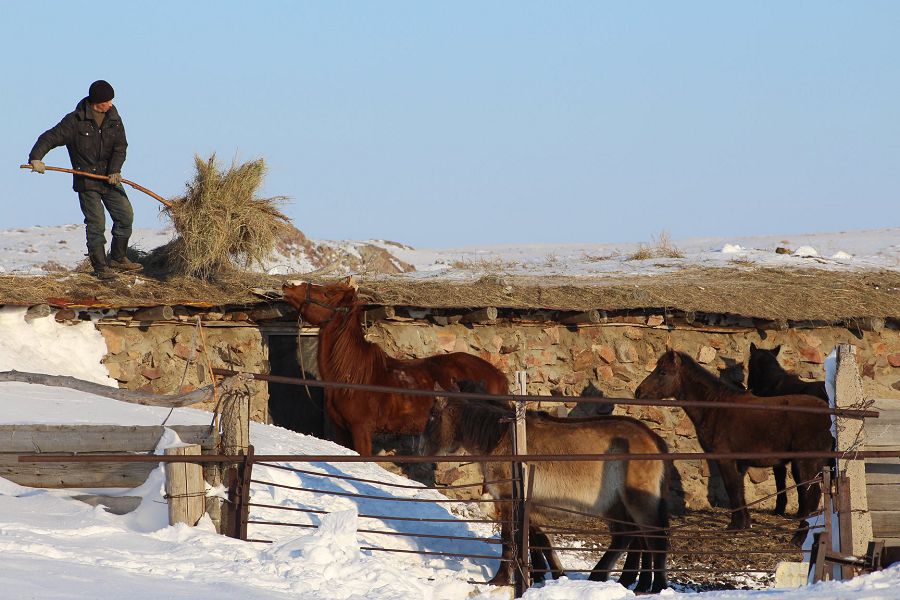 احۋالىڭ قالاي, اۋىلداعى اعايىن؟