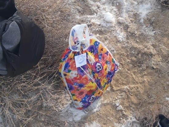 قىزىلوردادا كۇدىكتى كولىكتەن 1 كەلى ەسىرتكى تابىلدى