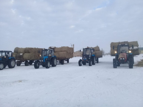 جاڭاقالا جىگىتتەرىنىڭ جاقسى ءىسى