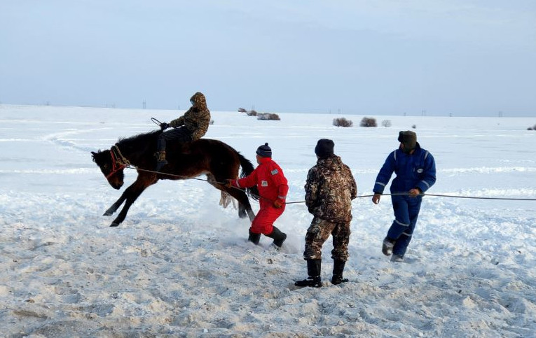 جۇيرىك ات, ۇشقىر تازى, شىمىر جىگىت
