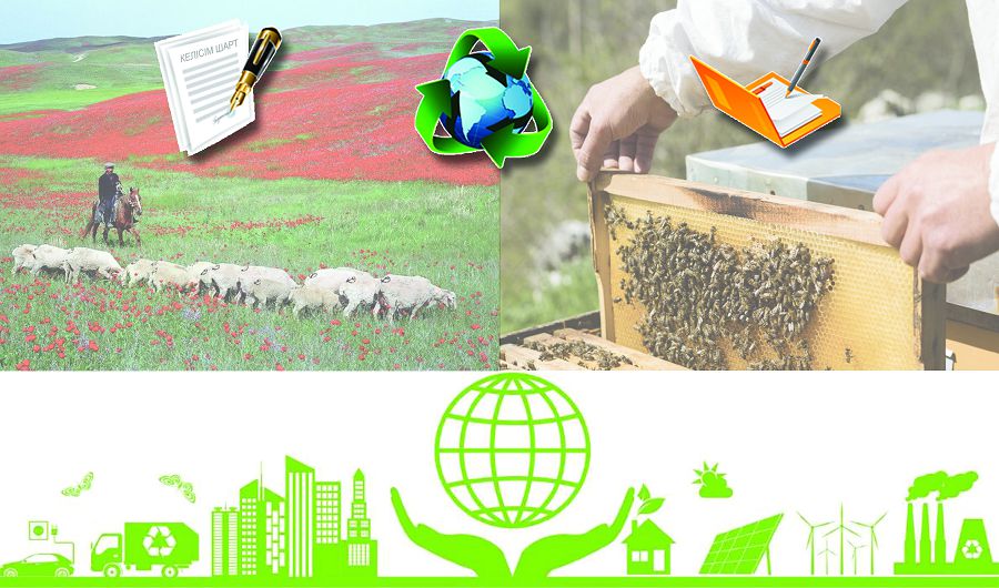 قورشاعان ورتانى قورعايتىن كاسىپكەرلىككە قارجى الادى