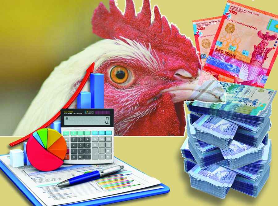 قۇس تۇماۋىنان زارداپ شەككەندەرگە وتەماقى تولەندى