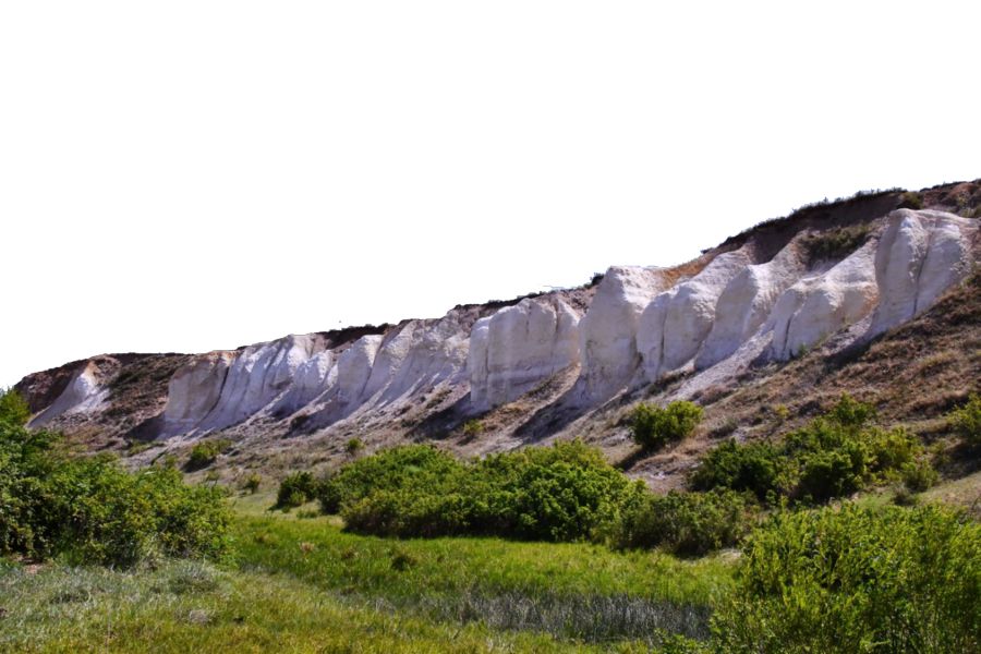 توقساننىڭ تورىندەگى ءتورتۇي