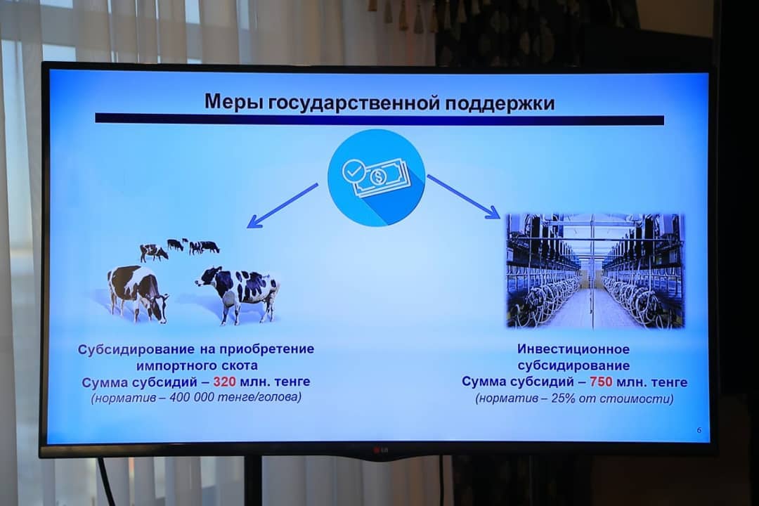 قوستاناي وبلىسىندا بالالار تاعامىن وندىرەتىن زاۋىت سالىنادى