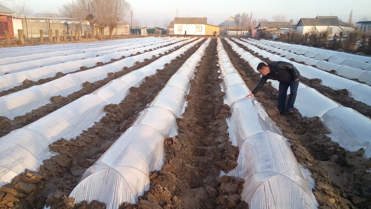 ماقتاارالدىق ديقاندار قىزىلشا ەگۋدە