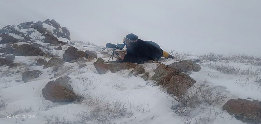 يىرمۇيىزدىلەر ۇيىرىمەن ءجۇر