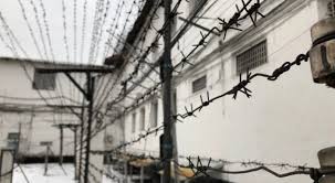 تۇرمەدە ءتىل ۇيرەنەدى