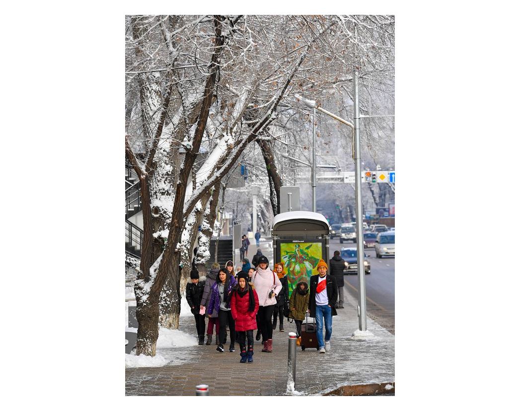 الماتى ءتيىمدى سالانىڭ التىن بەسىگى بولا الا ما؟