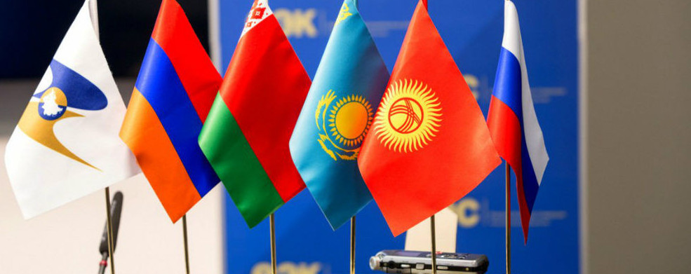 ەۋرازيالىق كەڭەس تەمىر داۋىنىڭ نەدەن شىققانىن ءتۇسىندىرىپ بەردى