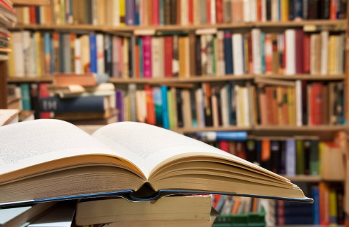 «ورلەۋدە» كىتاپحاناشىلار كۋرسى ۇيىمداستىرىلدى