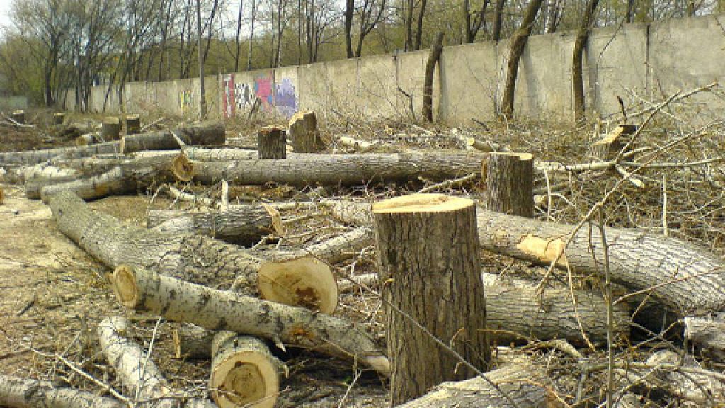 تال كەسۋ وڭاي, قالپىنا كەلتىرۋ قيىن