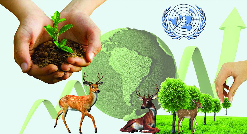 بۇۇ نازارىندا – قورشاعان ورتاعا قامقورلىق