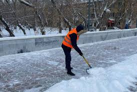 سوتتالعاندار كوشە تازالايدى