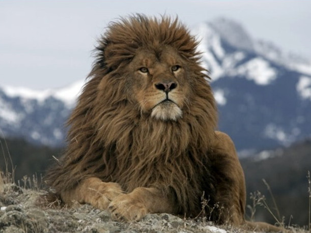 بەسقاينار اۋىلىنىڭ تۇرعىنى ۇيىندە ارىستان اسىراعان