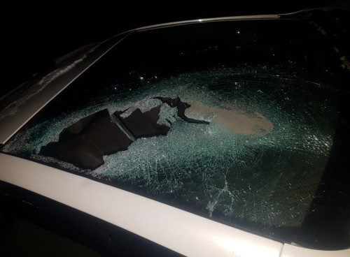 مال باعۋ ەرەجەسىن ساقتاماۋدىڭ سالدارى