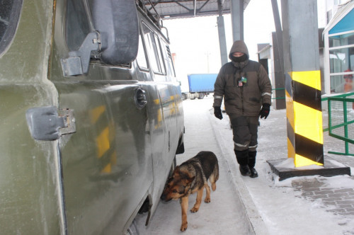 شەكاراشى يت رەسەيگە ەسىرتكى الىپ وتپەك بولعان ازاماتتى ۇستادى