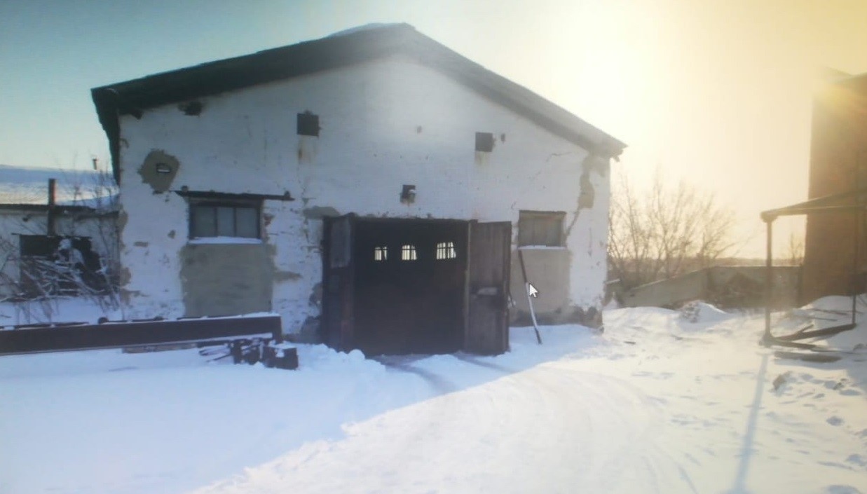 قويماعا تۇسكەن ۇرى ۇستالدى