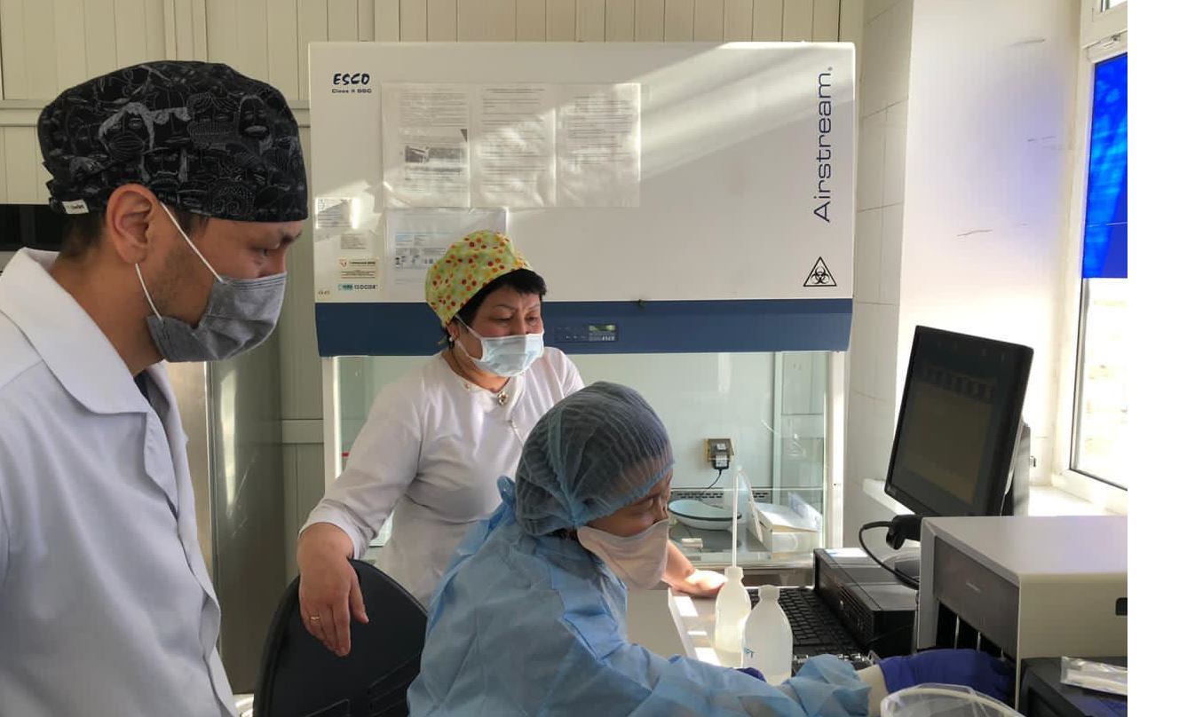 كوروناۆيرۋسقا شالدىققان ءتورت ناۋقاس تىركەلدى