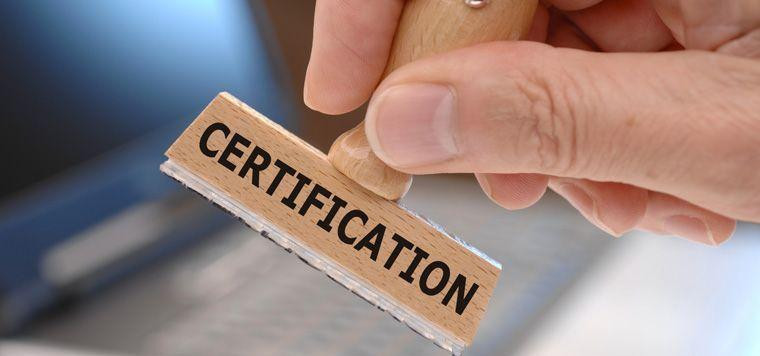 قىزىلوردادا جىل باسىنان بەرى كاسىپكەرلەر پالاتاسى 209 سەرتيفيكات بەردى