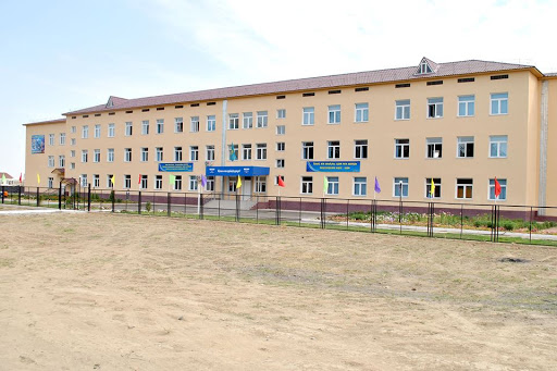 بيىل الماتىدا 21 مىڭعا جۋىق وقۋشىعا ارنالعان ينفراقۇرىلىم داميدى